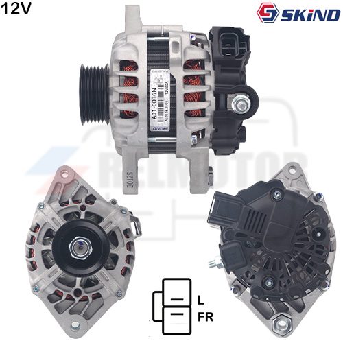 ALTERNADOR · SKIND