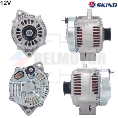 ALTERNADOR · SKIND